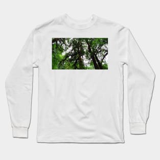 Silver Falls State Park Oregon Long Sleeve T-Shirt